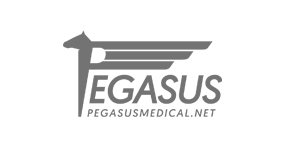 Pegasus